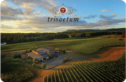 Trisaetum $150 Gift Card